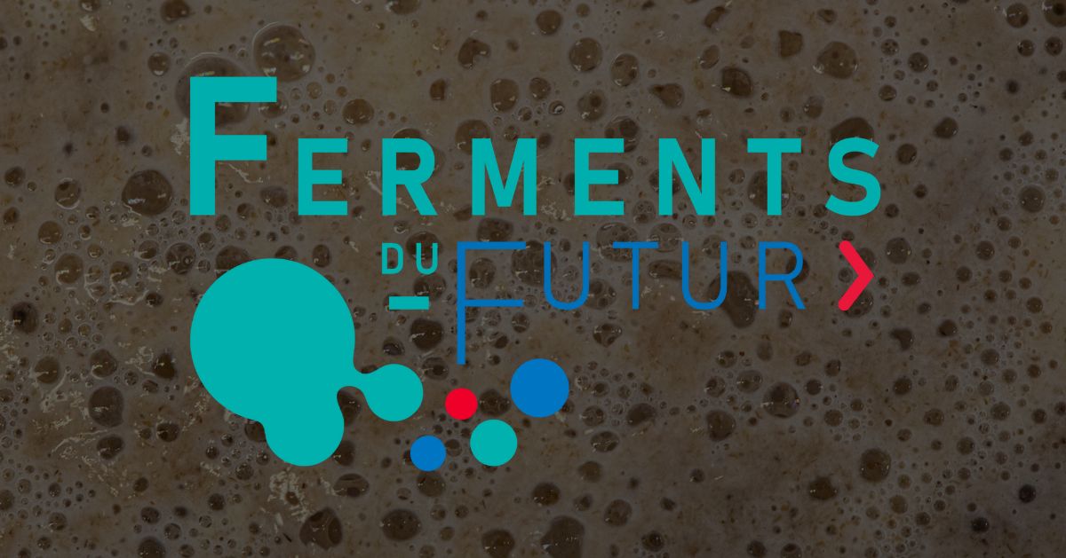 Ferments du Futur : le centre à 100M€ qui réinvente l'alimentation