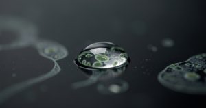 Mégabassines : l'analyse scientifique des risques bactériens