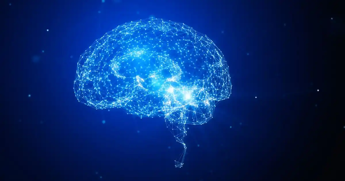 Neuropsy : Métier, Formation et Bilan Neuropsychologique 2026