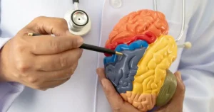 Neuropsychologue Salaire 2026 : Guide Complet (Public, Privé, Libéral)