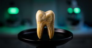 Paléogénétique : Comment l'ADN ancien révolutionne notre passé