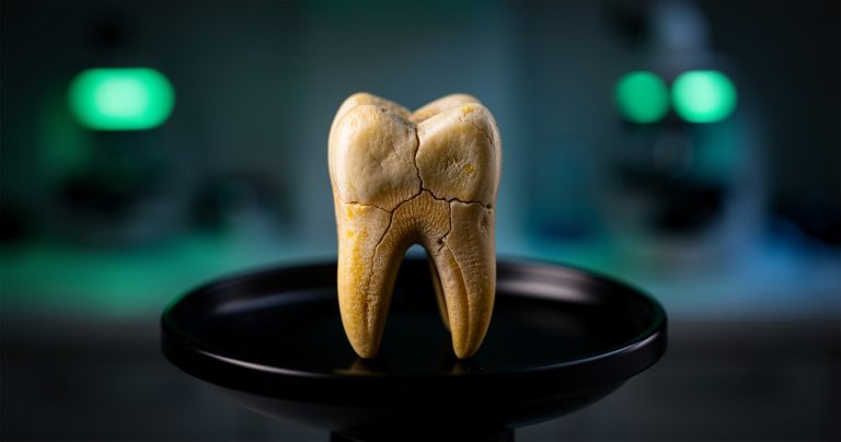 Paléogénétique : Comment l'ADN ancien révolutionne notre passé