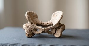 Bipédie humaine : ce fossile prouve que notre ancêtre marchait comme nous