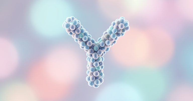 Contraception par anticorps : la révolution biologique en marche