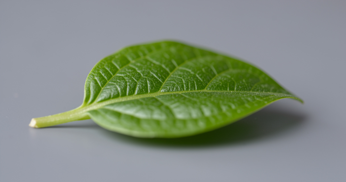 Nouveaux OGM : définition enjeux et réglementation en France 2026