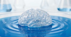 Cerveau : une force invisible bouleverse notre compréhension de sa construction