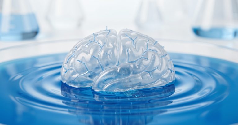 Cerveau : une force invisible bouleverse notre compréhension de sa construction