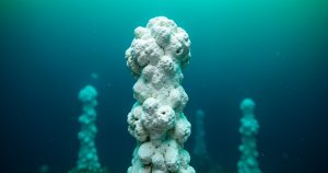 Cité perdue sous-marine : l’incroyable écosystème qui réécrit l’origine de la vie