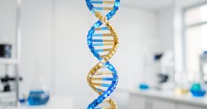 Gènes de longévité : pourquoi ils pèsent plus lourd qu'on ne le pensait